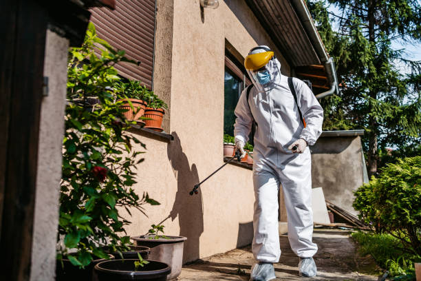 Best Local Pest Control Services  in Colony Rk, PA