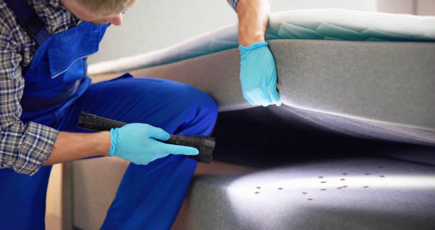 Reliable Colony Park, PA Pest Control Solutions